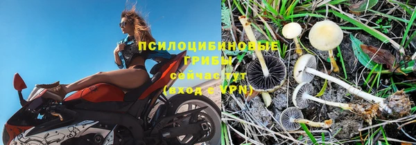 каннабис Белокуриха