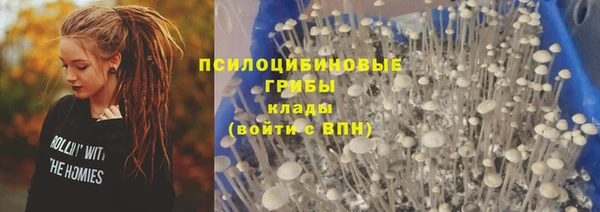 гидра Белоозёрский