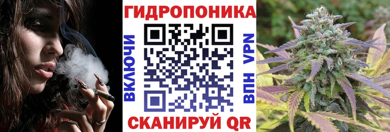Бошки марихуана ГИДРОПОН  Тула 